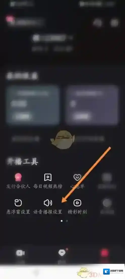 快手直播伴侣主播