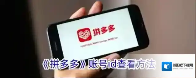 《拼多多》账号id查看方法