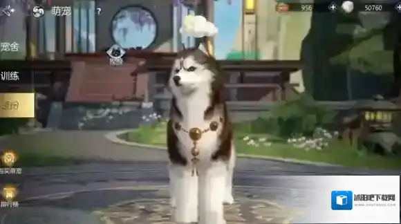 剑侠世界3焕新版宠物